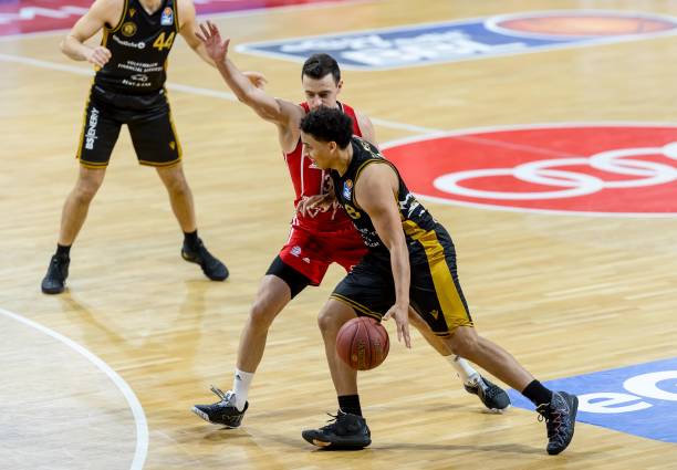 三节便确立 三节便确立