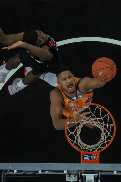 放大了灰熊 放大了灰熊